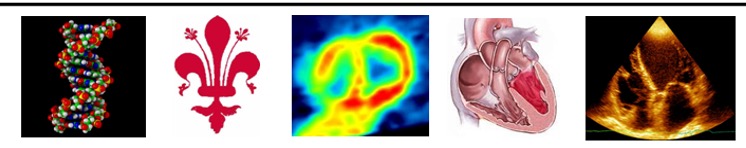 Assistenza Firenze Assistenza Firenze