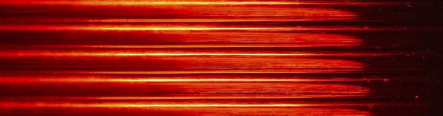 Linee Guida Linee Guida