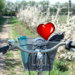 CARDIOMIOPATIA E COVID