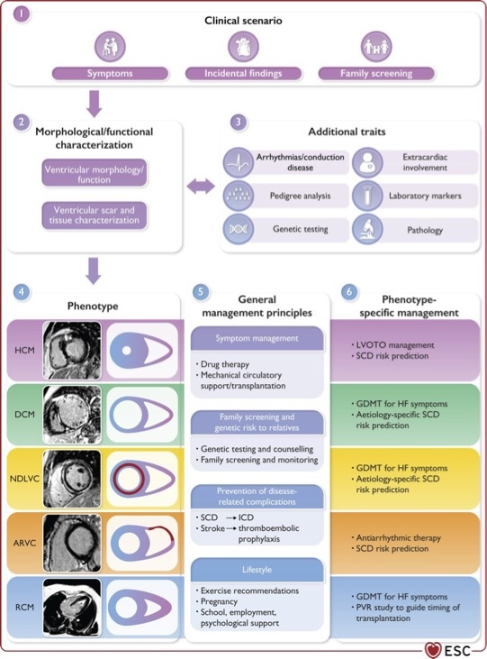 ESC Clinical Practice Guidelines